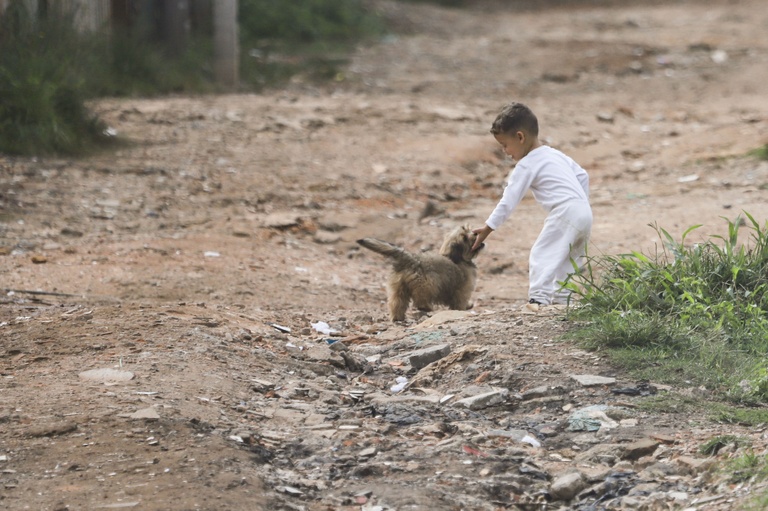 Campanha "Eu Freio para Animais" será em maio em Curitiba