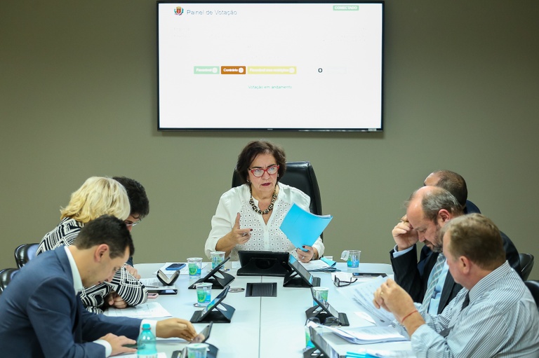 CCJ acata incluir pessoa com deficiência em programa da Defesa Civil