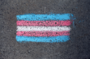 CCJ analisa cota para pessoas trans em concursos municipais