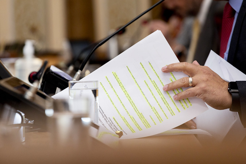 CCJ analisa possibilidade de animais domésticos no transporte coletivo