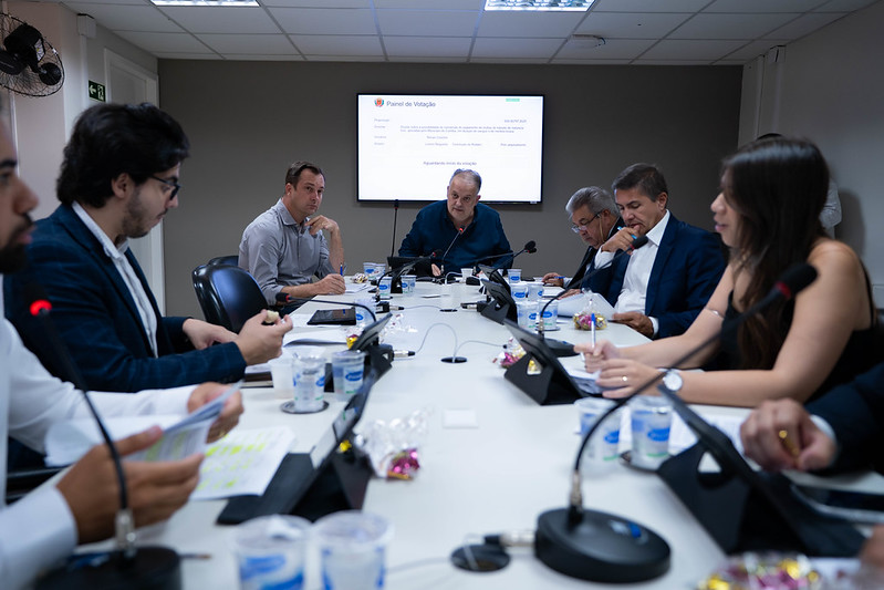 Proteção animal: projetos avançam na Câmara de Curitiba