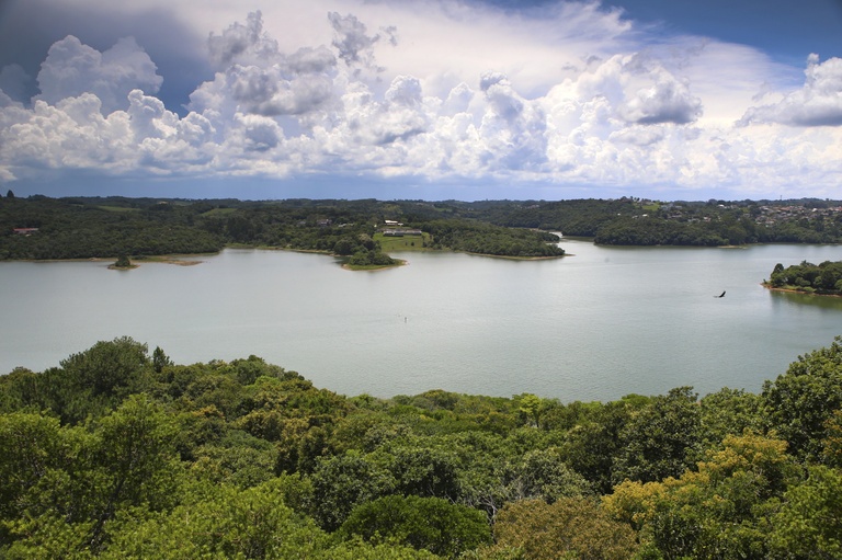 CCJ avalia divulgação obrigatória da qualidade da água consumida em Curitiba