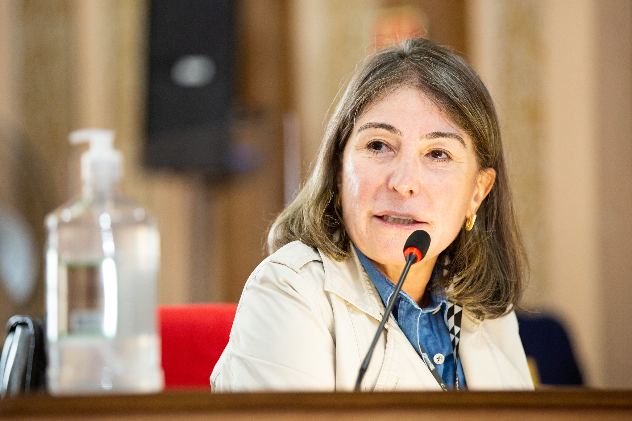 CMC adia votação do projeto que amplia a Lei de Proteção à Mulher