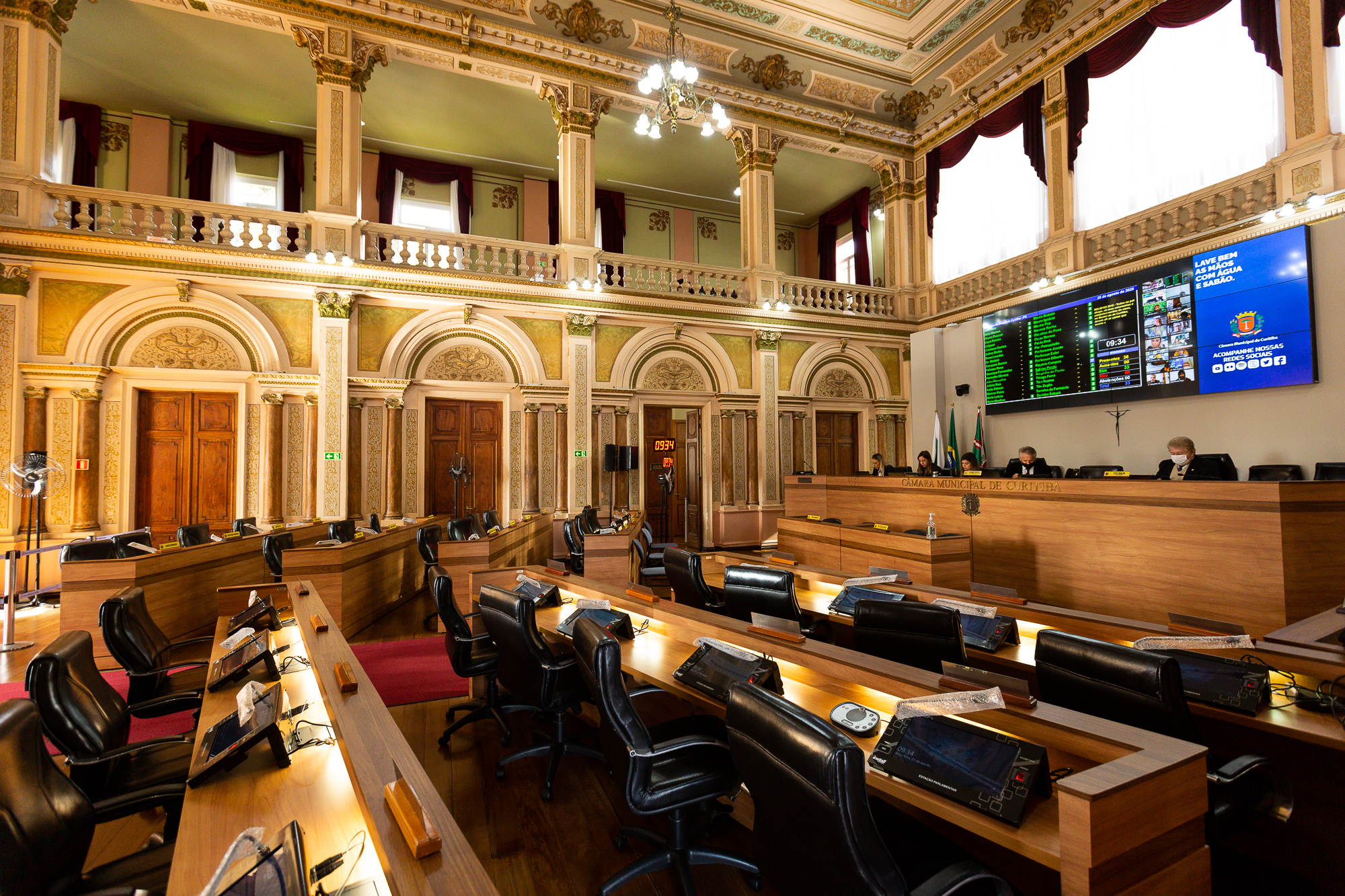 CMC confirma incentivo à adoção de animais e Semana da Colônia Alemã