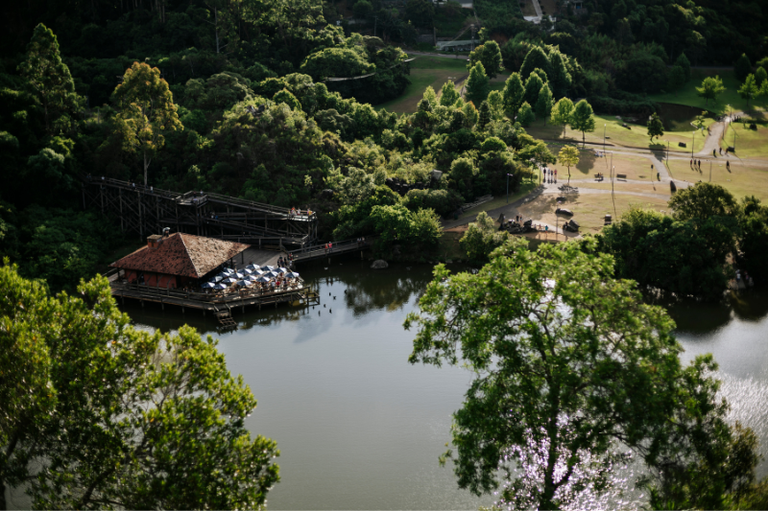 Comissão de Economia retoma debate sobre Pagamento por Serviços Ambientais 