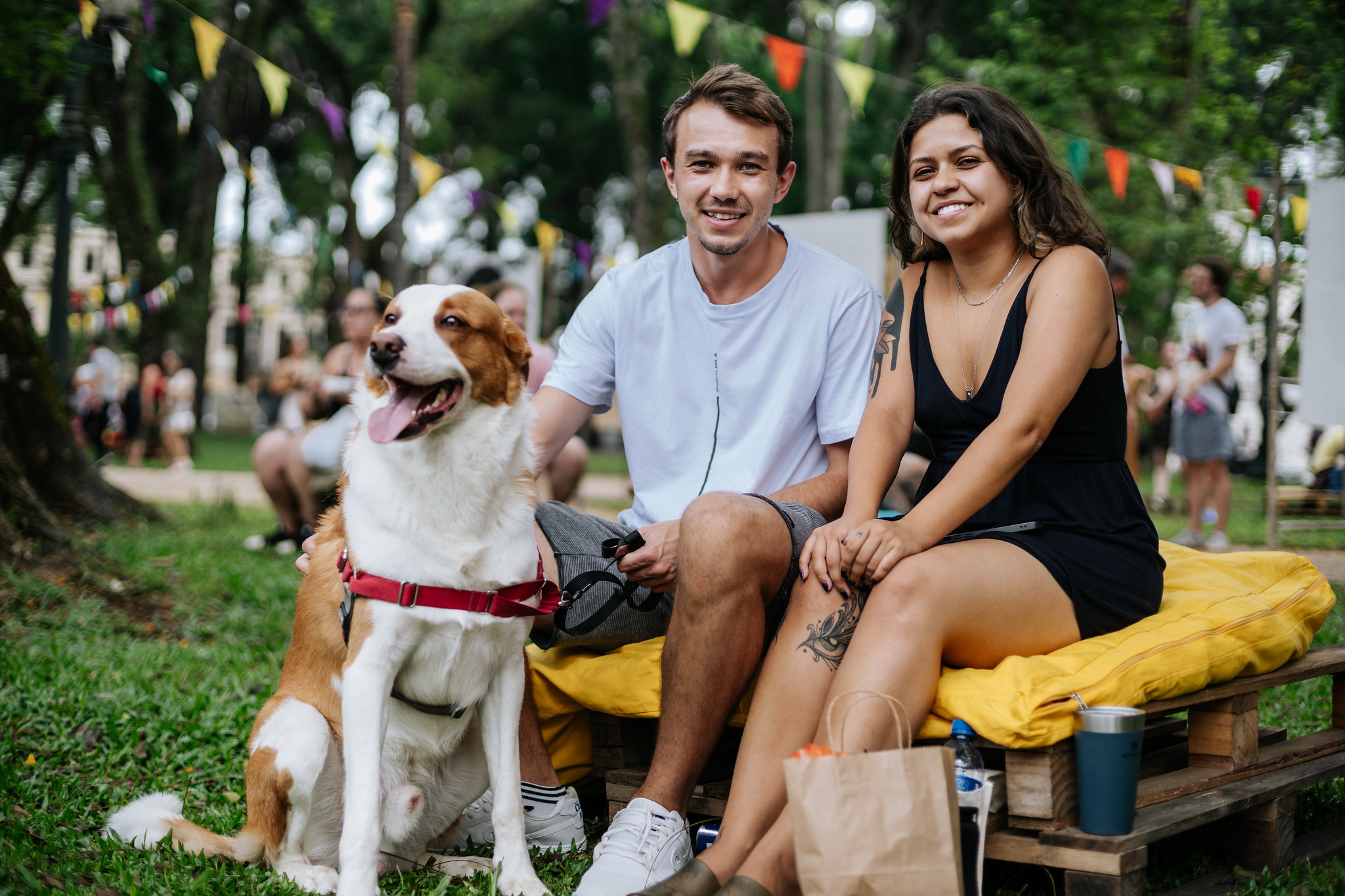 Comissão de Economia vota regulamentação dos espaços Playpet
