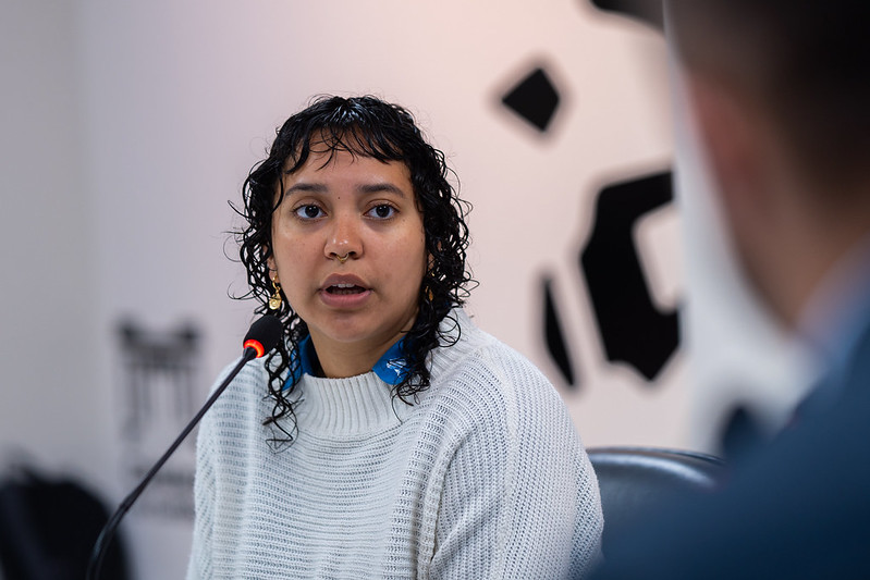 Comissão Processante: especialistas e funcionário depõem à Câmara 