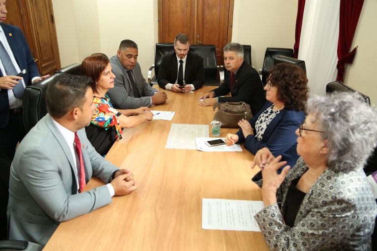 Conselho de Ética biênio 2019/2020 será presidido por Fabiane Rosa