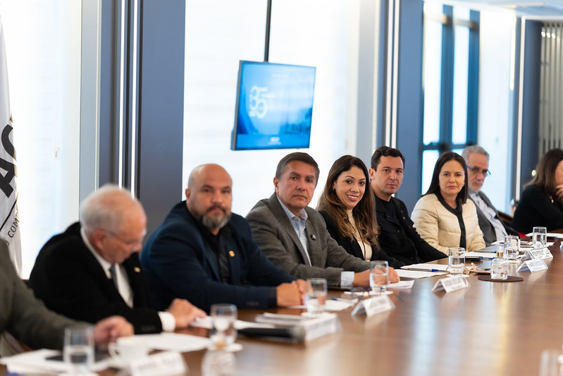 Cresce o número de frentes parlamentares na Câmara de Curitiba