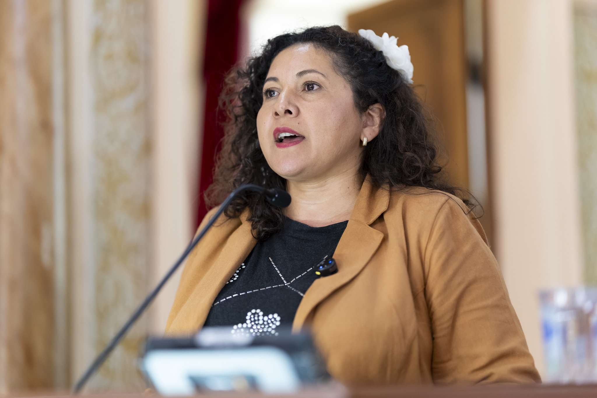 Curitiba: criação de novos Conselhos Tutelares pauta debate sobre reajuste