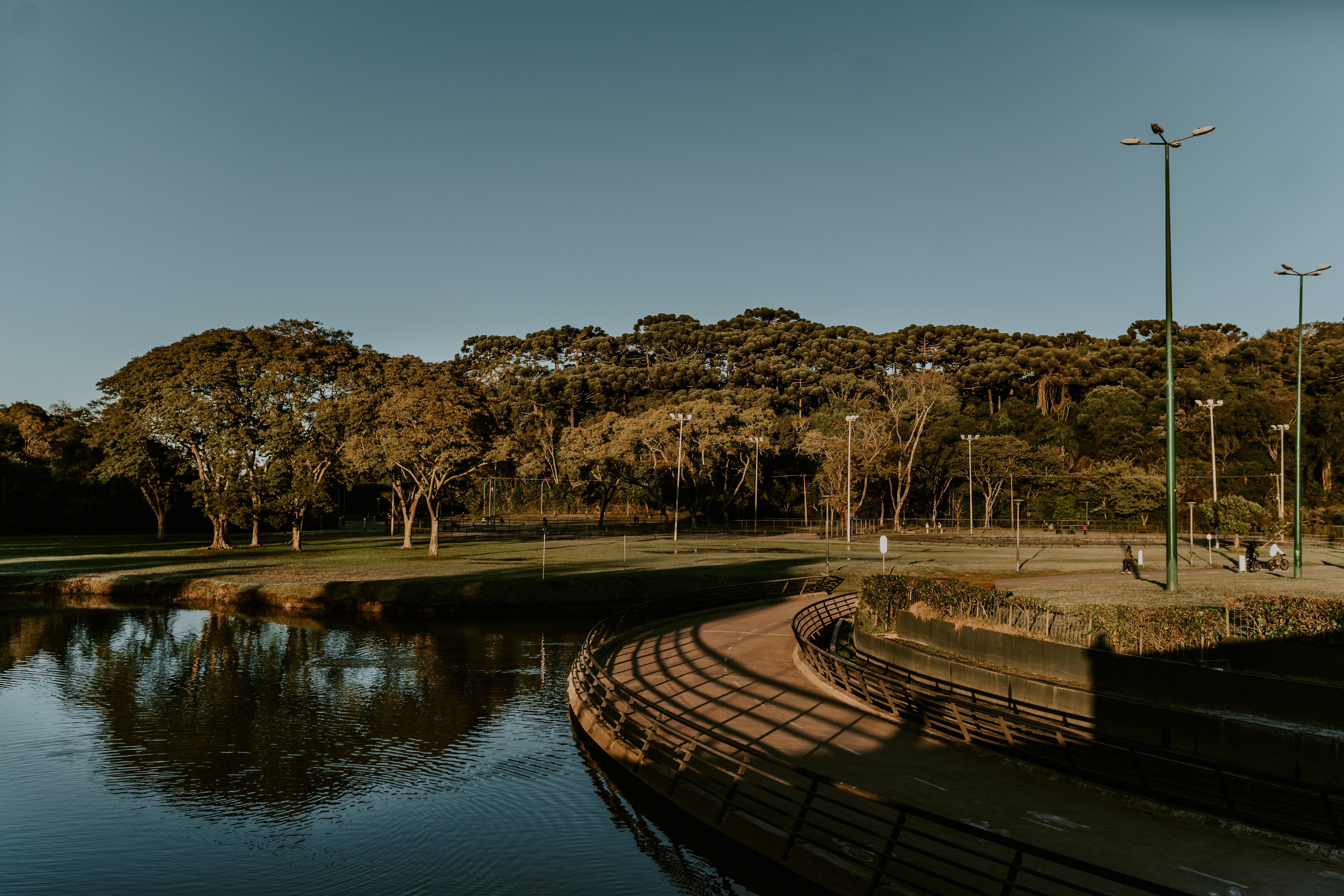 Curitiba pode ter projeto de conscientização ambiental para o público jovem