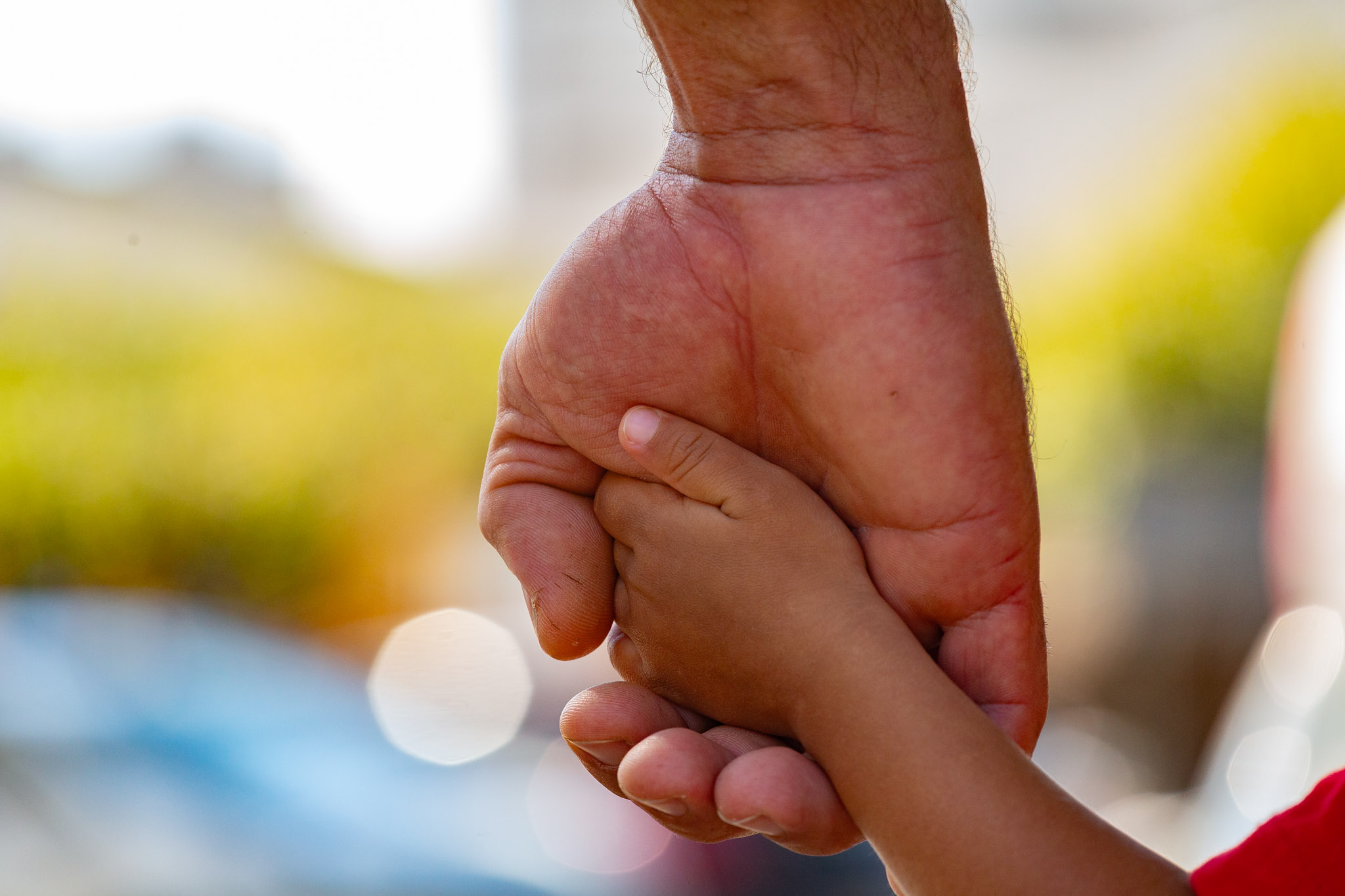 Curitiba pode ter Semana de Incentivo à Adoção Tardia