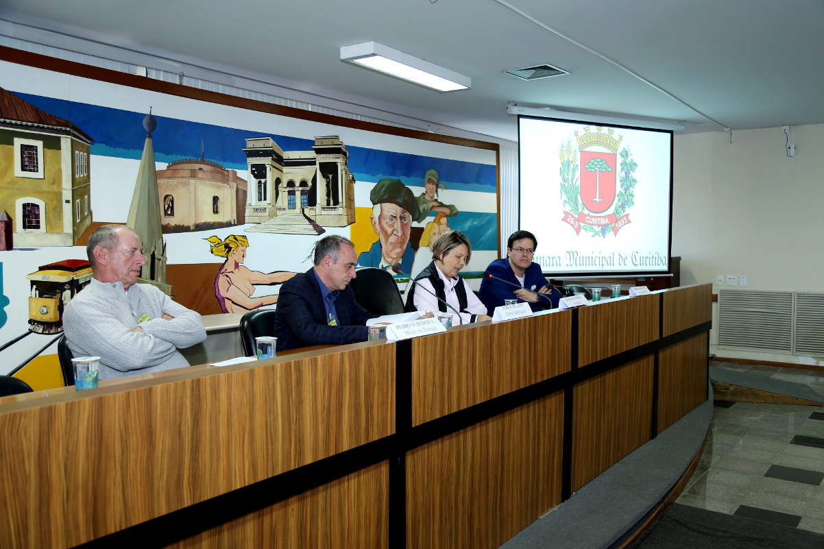 Curitiba poderá combater acidentes de aves com vidros