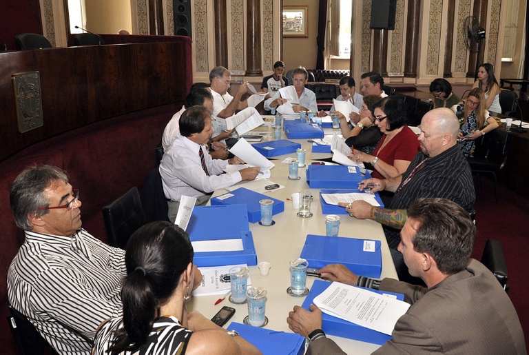 Definidas normas para a revisão da Lei Orgânica 