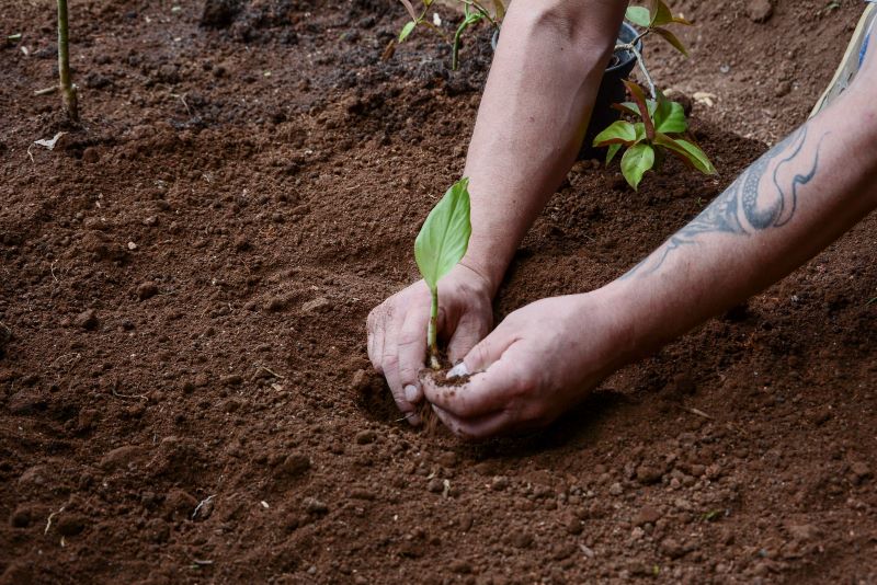 Dependentes químicos: Tribuna Livre mostra trabalho da Casa do Servo Sofredor