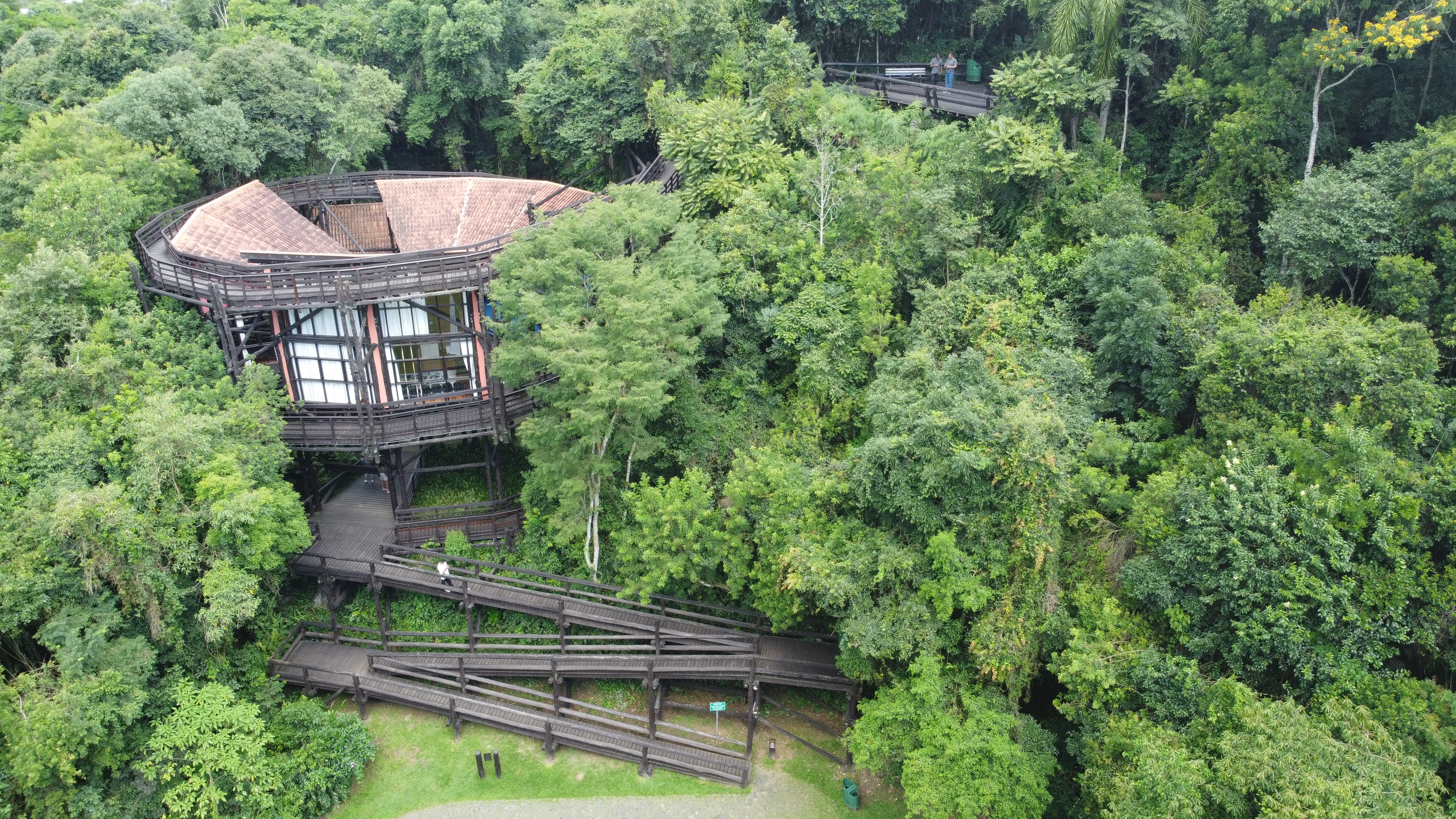 Após adiar votação, CMC retoma análise do Código Florestal de Curitiba