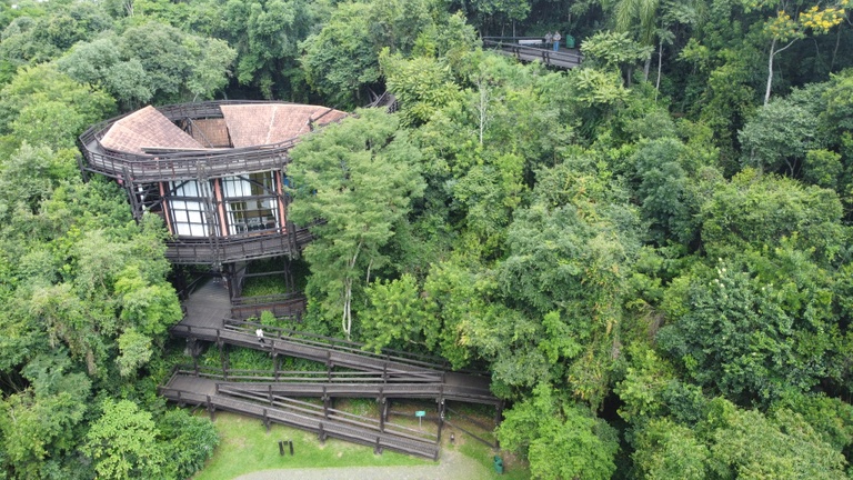 Após adiar votação, CMC retoma análise do Código Florestal de Curitiba