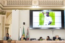 Dia da Consciência Negra: Câmara de Curitiba realiza sessões solenes