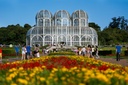 Dia da Doação de Órgãos: CMC pede iluminação especial no Jardim Botânico Dia da Doação de Órgãos: CMC pede iluminação especial no Jardim Botânico