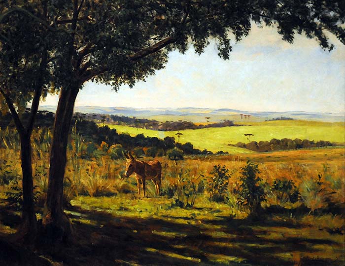 Dia do Índio: O vereador Bandeira, o cacique Condá e os Campos de Palmas