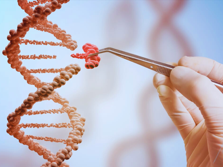 Diagnóstico de síndromes raras e autismo é tema de debate na Câmara