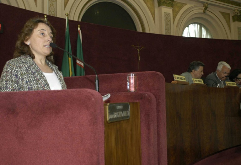 Educação infantil é abordada na Câmara 