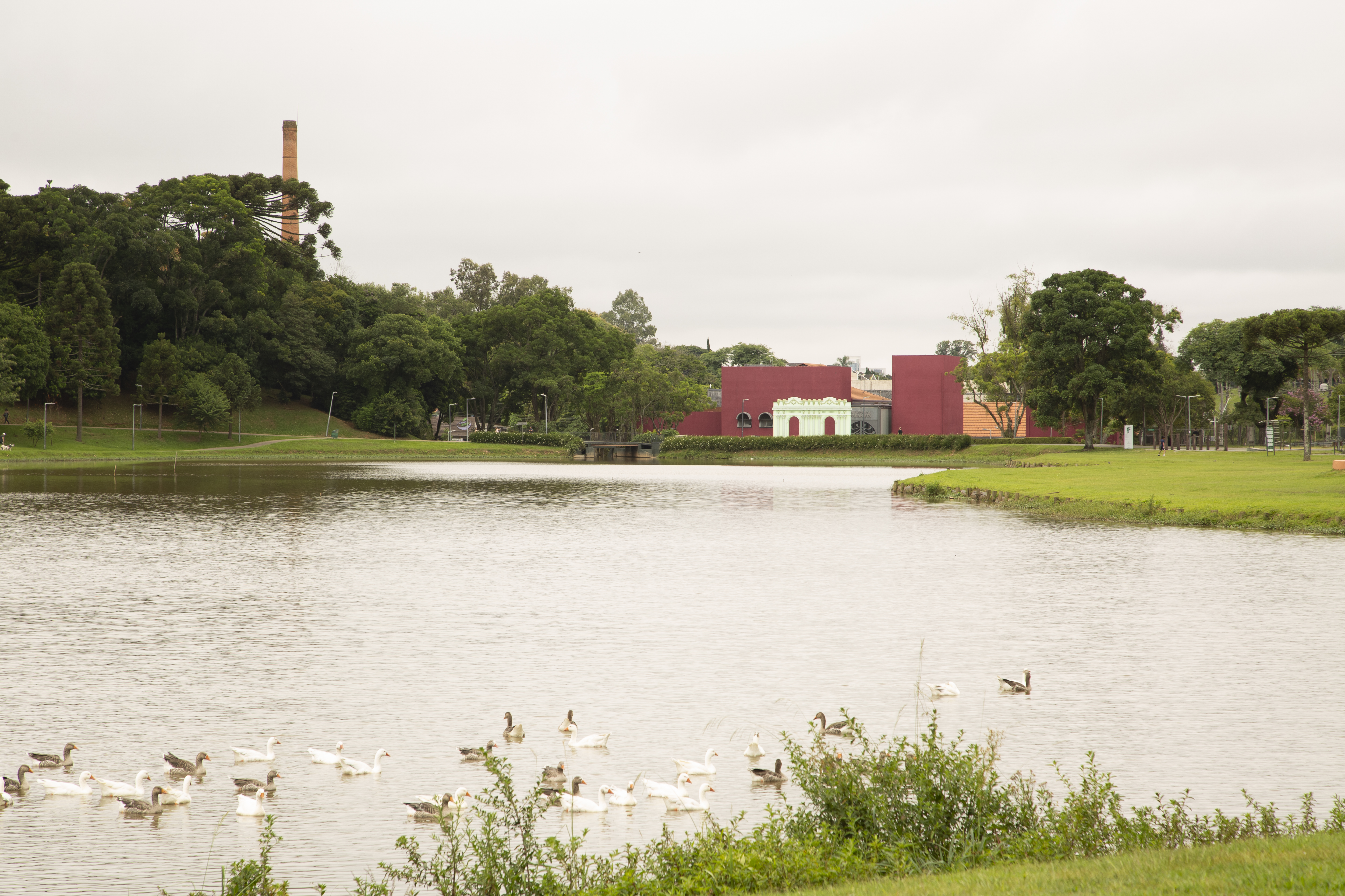 Vereadores querem nova lei de adoção de espaços públicos 
