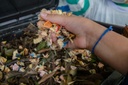 Emenda de Maria Leticia impulsiona compostagem em Curitiba