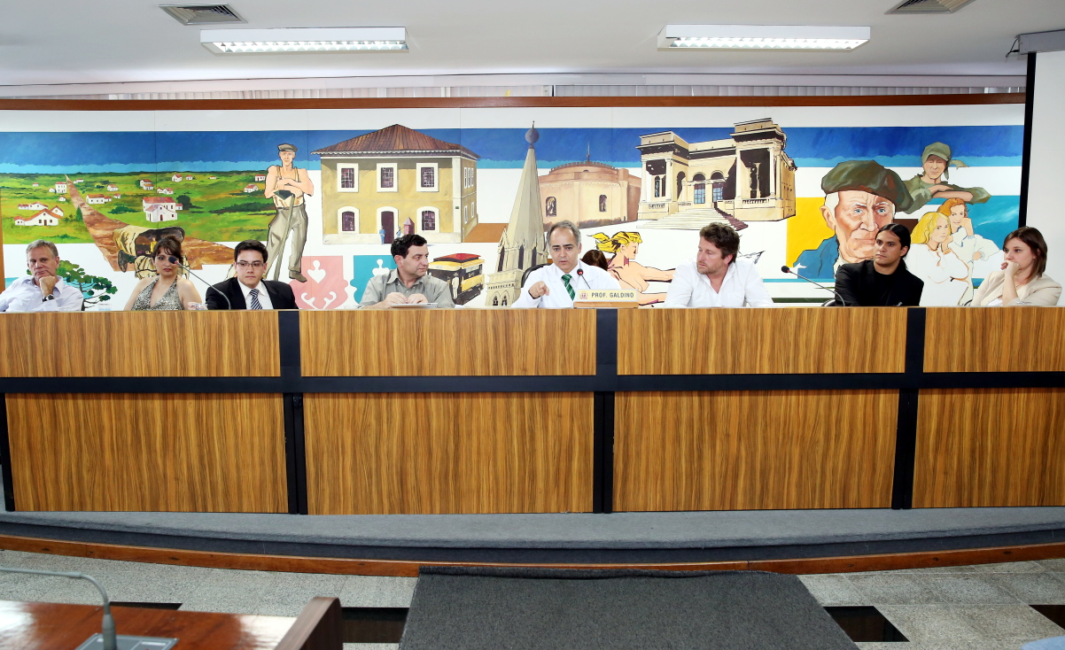 Especialistas sugerem alterações no projeto "telhados verdes"