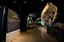 Frente Parlamentar promove visita ao Museu Planeta Água Frente Parlamentar promove visita ao Museu Planeta Água