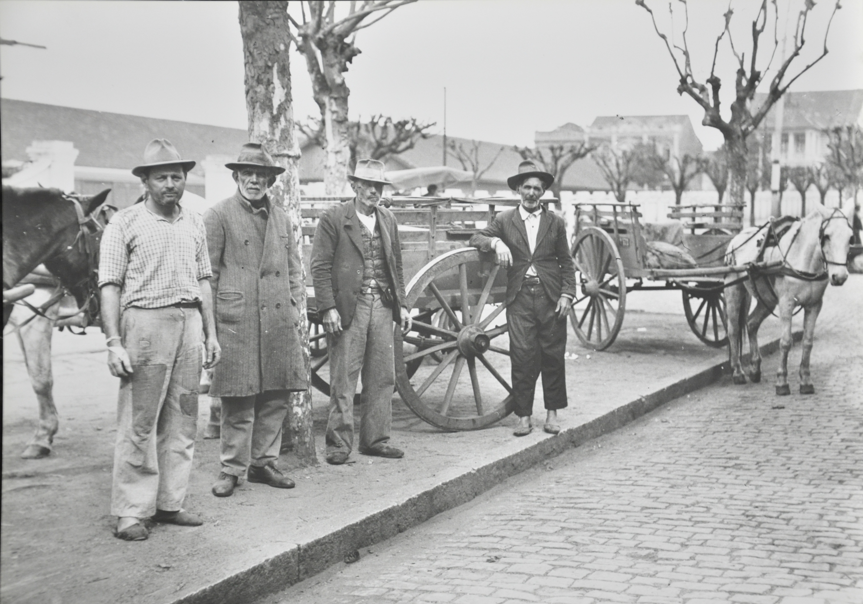 Conflitos do transporte II: a pau e pedras, a revolta dos carroceiros