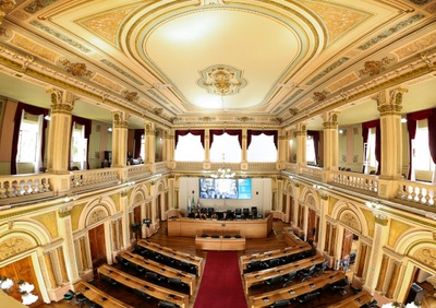 plenário_coronavírus sugestões.jpg