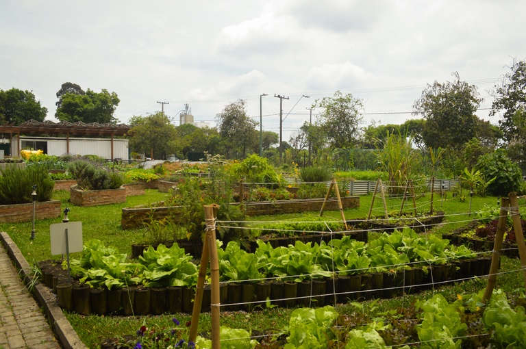 Curitiba vai implantar Programa Alimento Solidário daqui a seis meses
