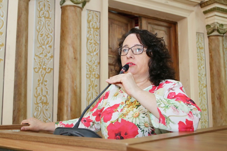 Incêndio na Ocupação 29 de Março repercute entre vereadores