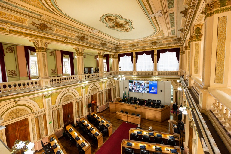 Incentivo à adoção de animais e Semana Alemã aprovados em 1º turno