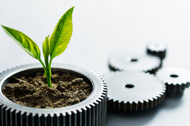 Inovação Inclusiva e Sustentável é tema de audiência pública na CMC