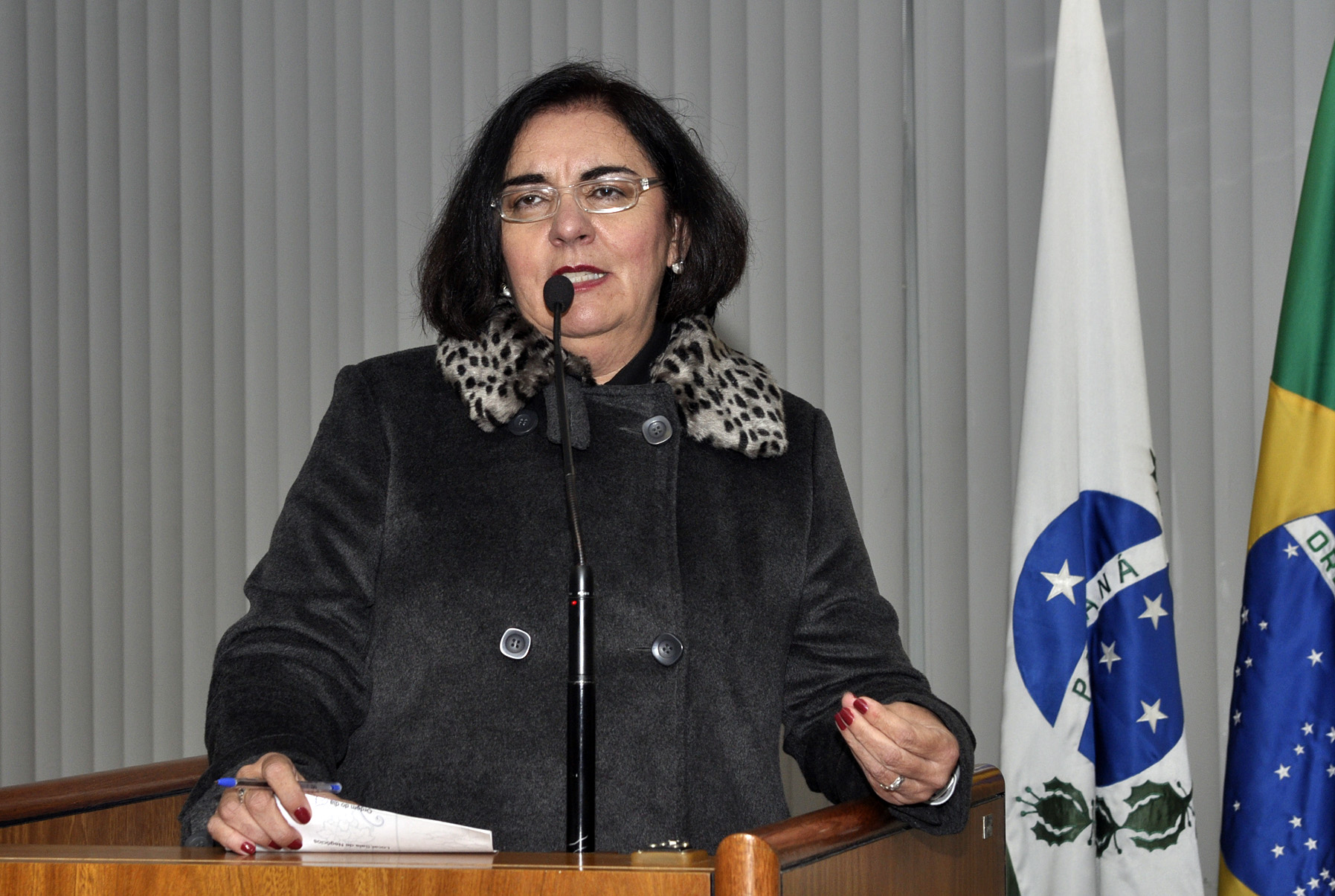 Julieta defende carrinhos modernos para ambulantes 