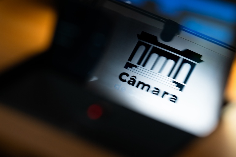 Lei Lili: novas regras para condução de cães recebem emendas em 2º turno