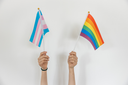 Combate à LGBTfobia poderá ser incluído no calendário de Curitiba Combate à LGBTfobia poderá ser incluído no calendário de Curitiba