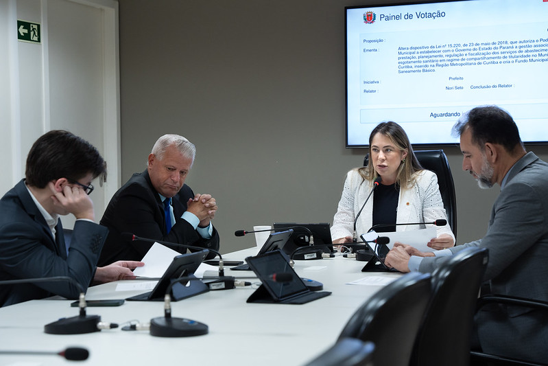 Meio Ambiente acata inclusão dos jardins de chuva na drenagem urbana