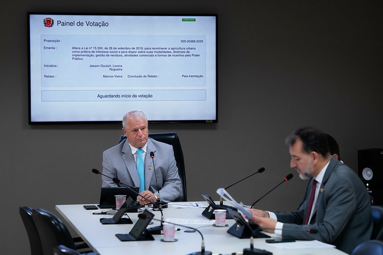 Meio Ambiente apoia avanço da criação de abelhas em Curitiba