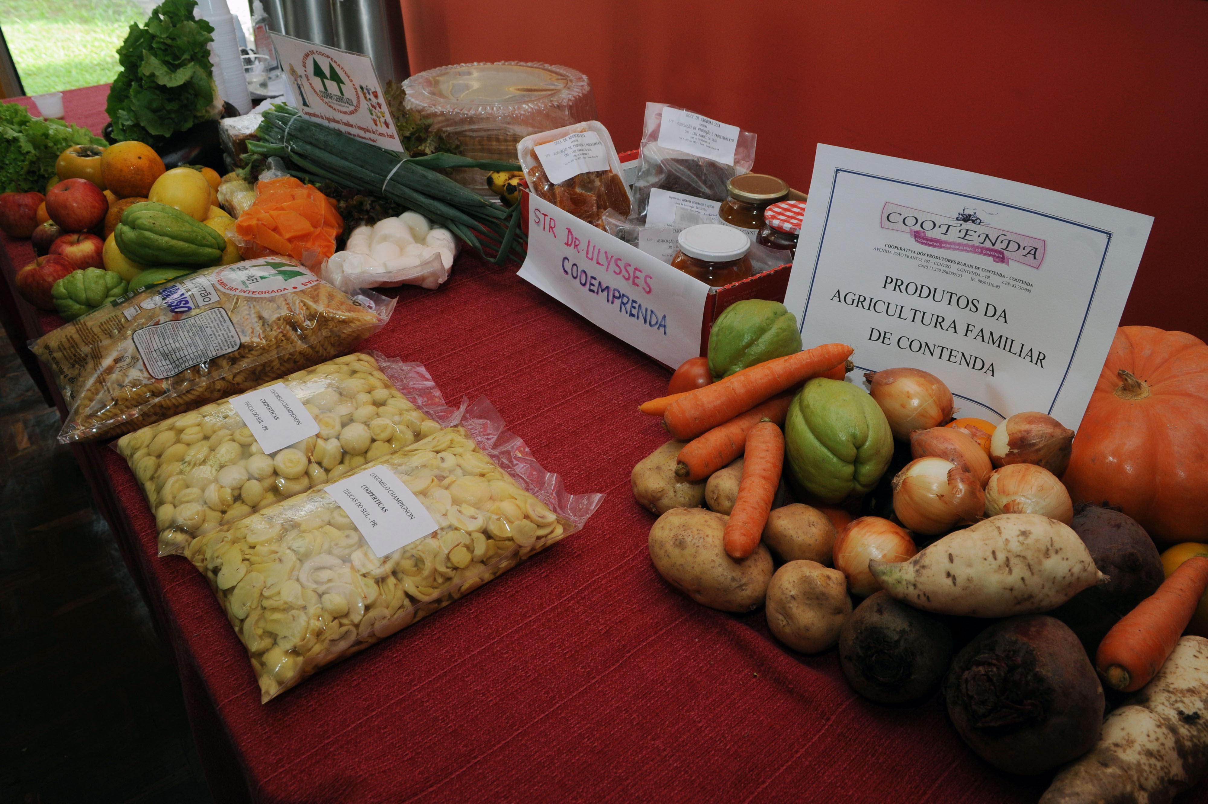 Merenda vegana e vegetariana  proposta à Câmara de Curitiba