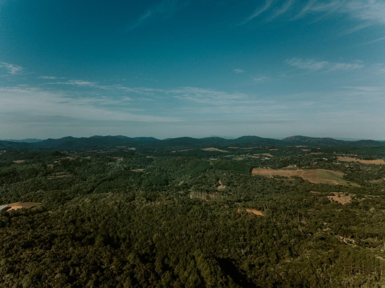 Mudança das RPPNMs para unidades de proteção integral é debatida em Curitiba