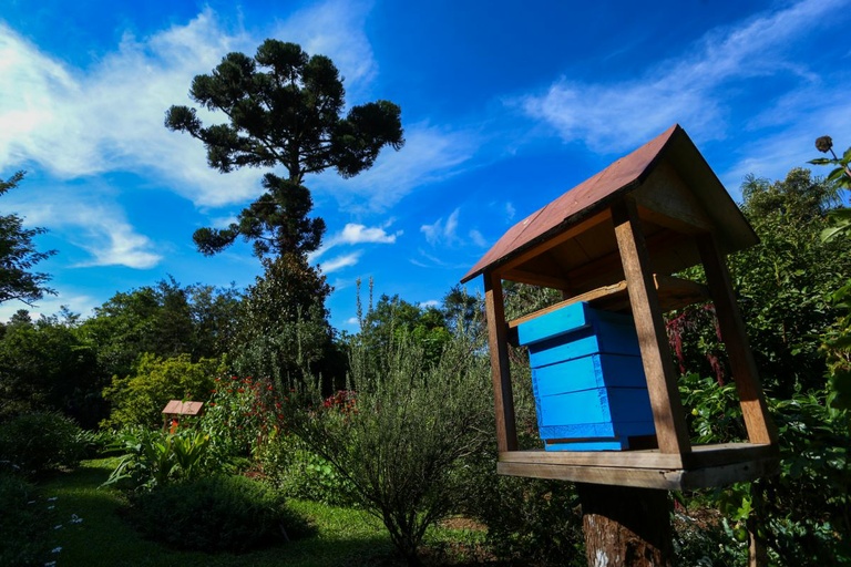 Vereador propõe pagamento por proteção ambiental em Curitiba