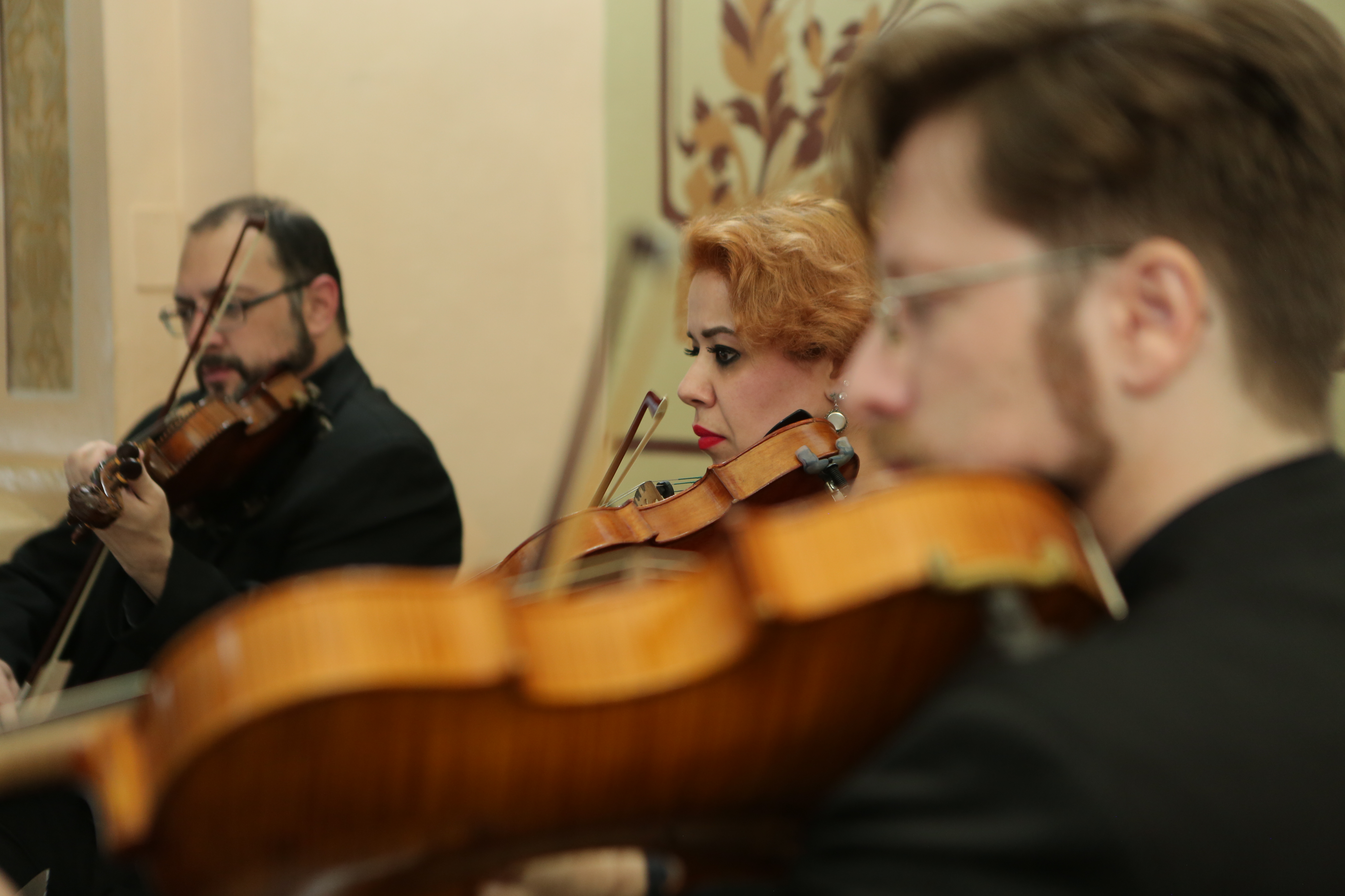 Na 2ª, CMC debate Lei de Incentivo à Cultura em audiência