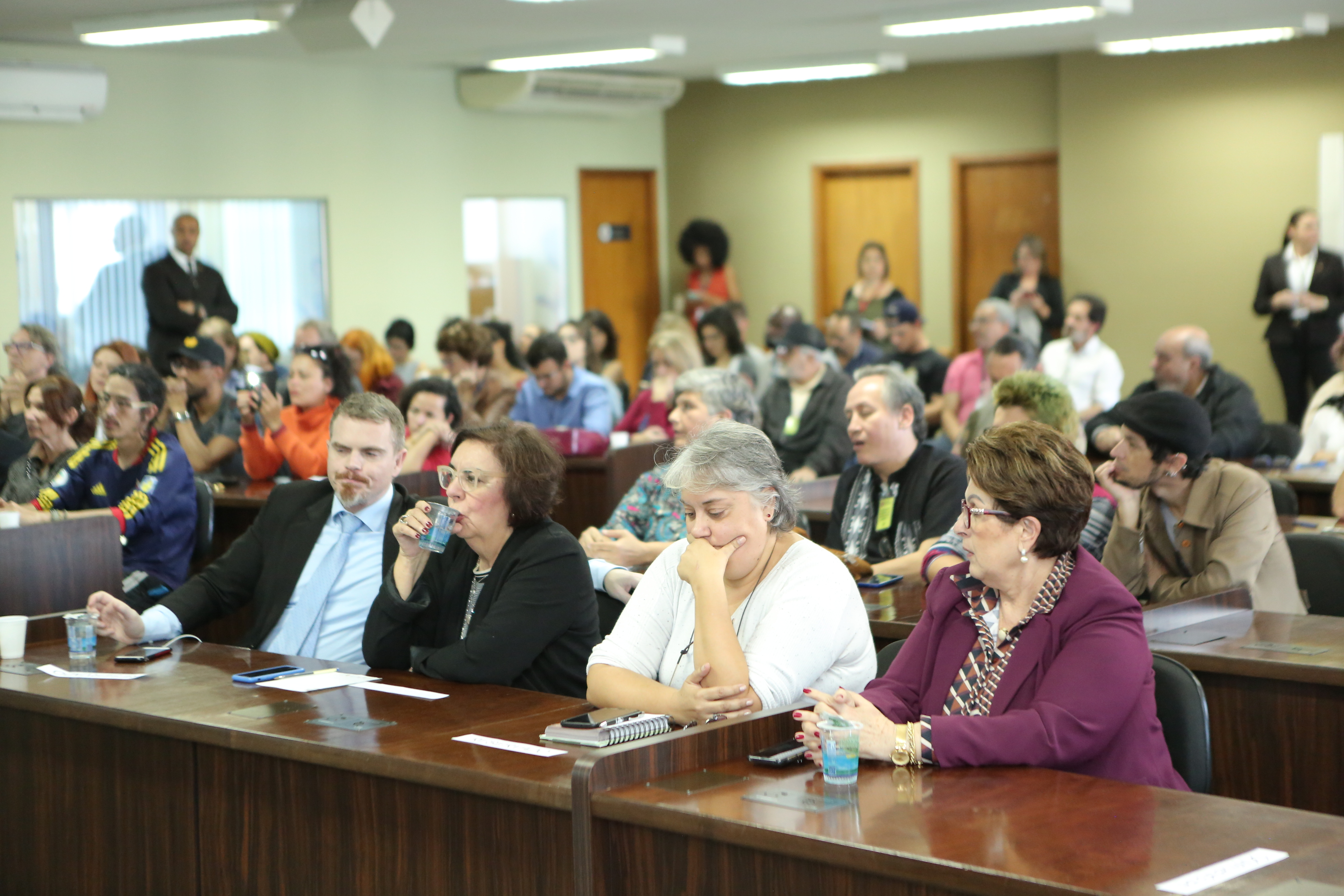 Na CMC, defendidos apoio a artistas e gestão democrática da cultura