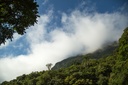 Na segunda, vereadores votam a nova política ambiental de Curitiba