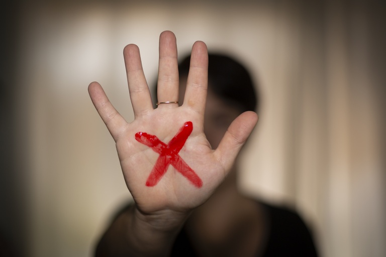 Na terça, plenário discute programa contra a violência doméstica