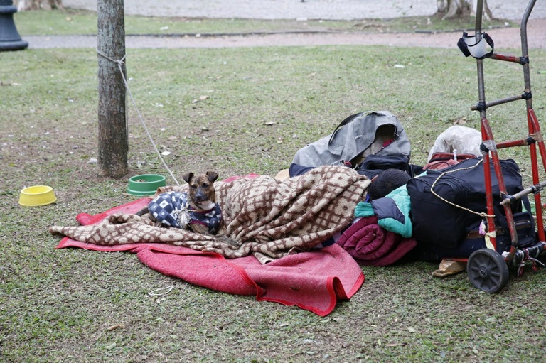 Nesta segunda, CMC vota projetos para bem-estar animal