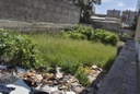 Nos Bairros: Vereadores pedem limpeza de terrenos pela cidade 